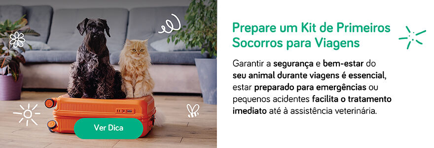 Prepare um Kit de Primeiros Socorros para Viagens
